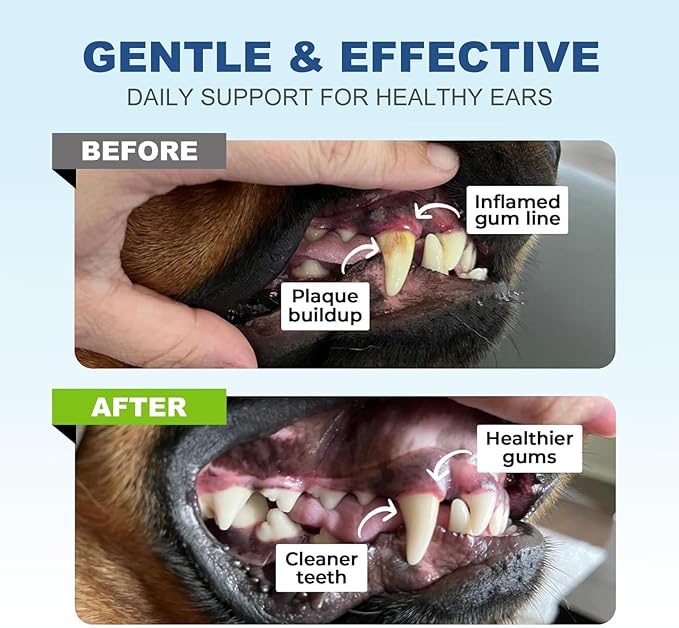 Dog Dental Care Finger Wipes, 60 PCS Teeth Cleaning Wipes for Dogs & Cats, Tooth Brushing Kit Dental Wipes Reduces Plaque & Freshens Breath, Disposable Gentle Cleaning & Gum Care Pet Wipe