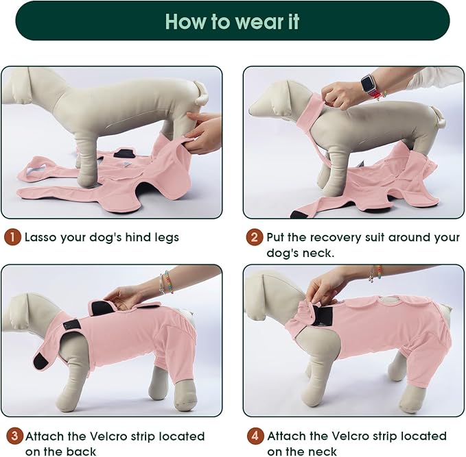 Kuoser Dog Recovery Suit for Rear Legs, Thigh Wound Protective Sleeve for Dogs, Dog Recovery Sleeve for Female Male Dogs, Dog Onesie After Surgery Pet Surgical Suit for Spay Neuter, Pink M