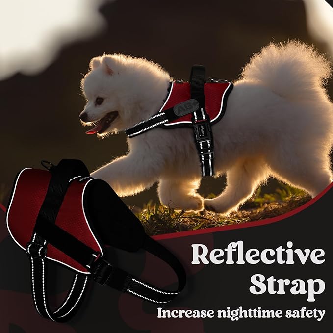 rabbitgoo Dog Harness Medium Sized, Easy On Pet Vest with One Buckle, No Pull Adjustable Service Harness with D-Ring & Handle, Reflective for Safety Walking, Training, Red, M