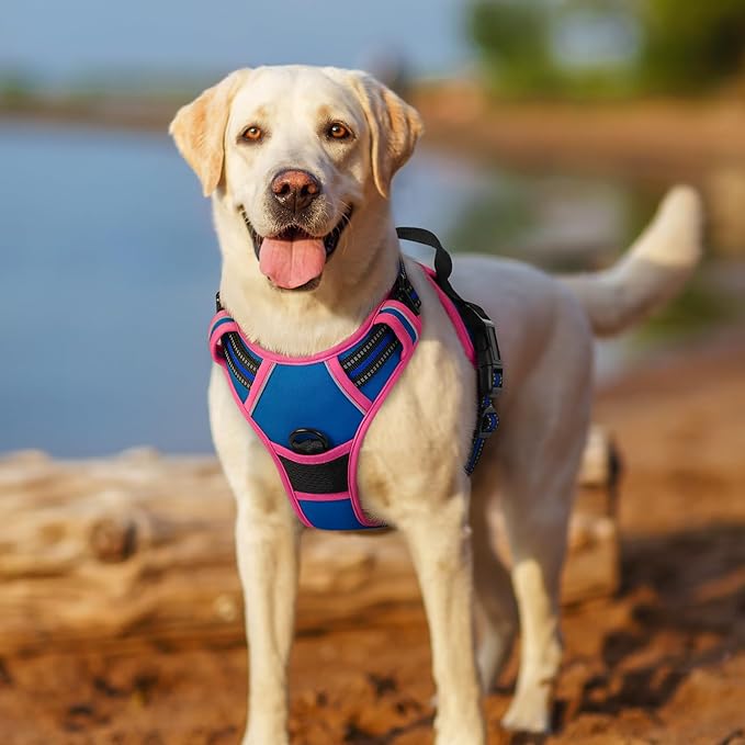 rabbitgoo Dog Harness No Pull with 2 Leash Clips, Adjustable Soft Padded, Reflective Oxford No Choke Pet Vest with Easy Control Handle for Large Dogs, Blue & Hot Pink, S