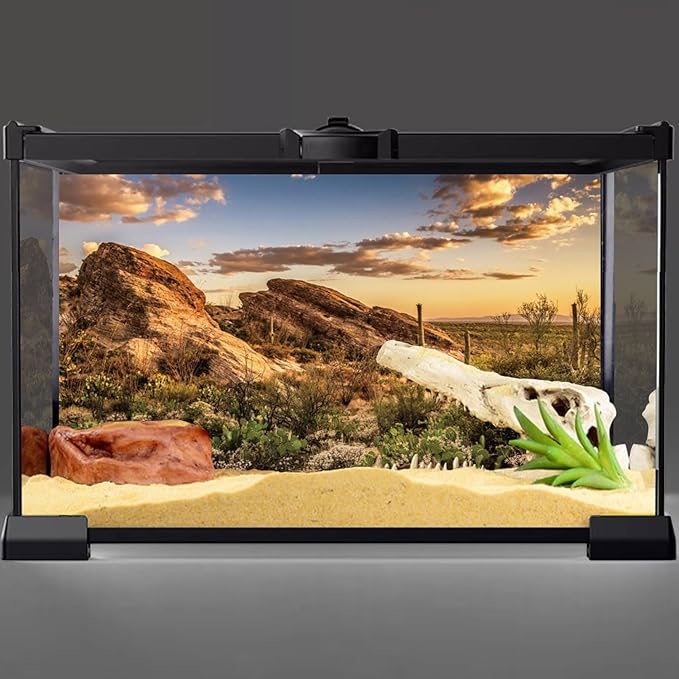 AWERT Reptile Habitat Background Blue Sky Oasis Cactus Sun and Desert Terrarium Background 24x16 inches Durable Polyester Background
