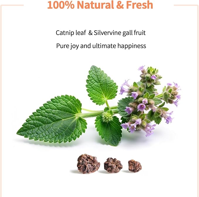 Catnip & Silvervine Powder – 30g Blend of Silvervine Gall Fruit & Catnip, Non-Addictive, for All Cat Ages, Multi-Use with Toys, Scratchers & Protecting Furniture, with 5 Little Pouches
