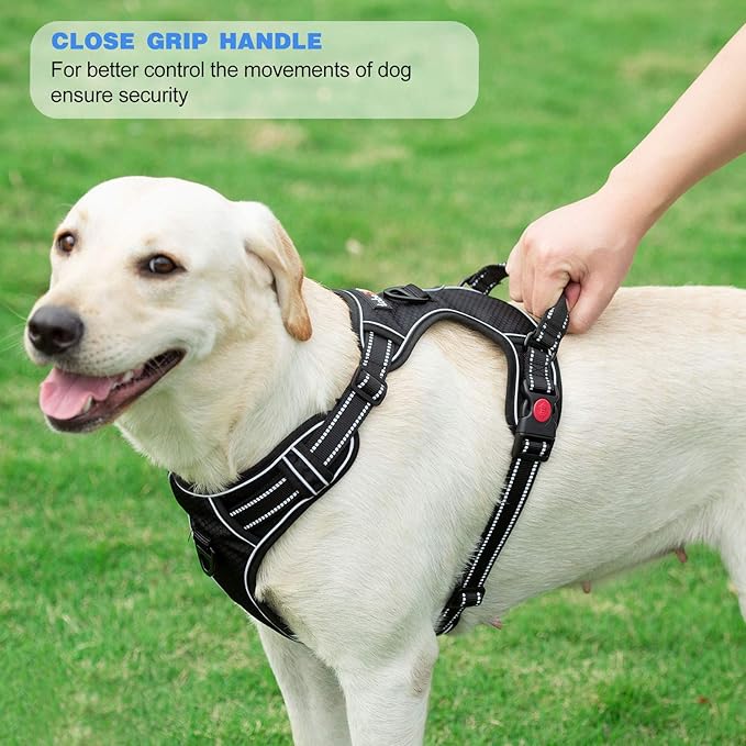 No Pull Dog Harness Adjustable Reflective Oxford Easy Control Medium Large Dog Harness with A Free Heavy Duty 5ft Dog Leash (M (Neck: 14.5"-20.5", Chest: 22"-28"), Pink Harness+Leash)
