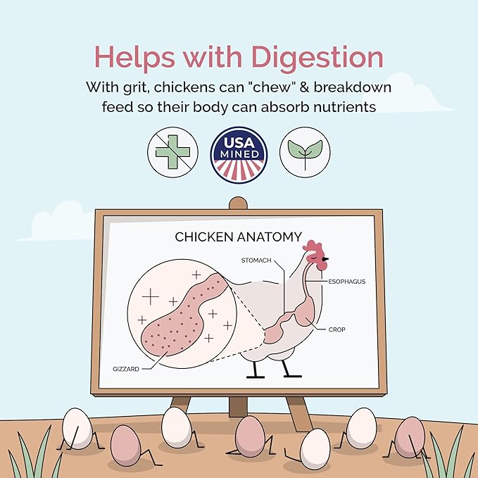 Chick Grit for Baby Chicks - Chickens Age 0-8 Weeks, 100% Natural Mineral Chick Grit Quartzite, Poultry Grit Digestive Aid, USA Mined, 4 lbs