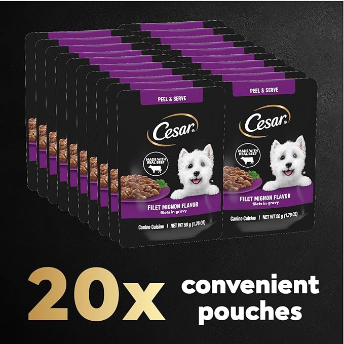 Cesar Filets in Gravy Wet Dog Food Filet Mignon Flavor, 1.76 oz. Mini-Pouch (20 Count, Pack of 1)