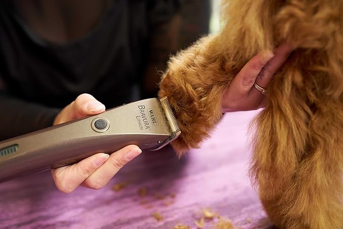WAHL Professional Animal Bravura Lithium Ion Clipper - Pet, Dog, Cat, and Horse Corded/Cordless Clipper Kit, Gunmetal (41870-0425)