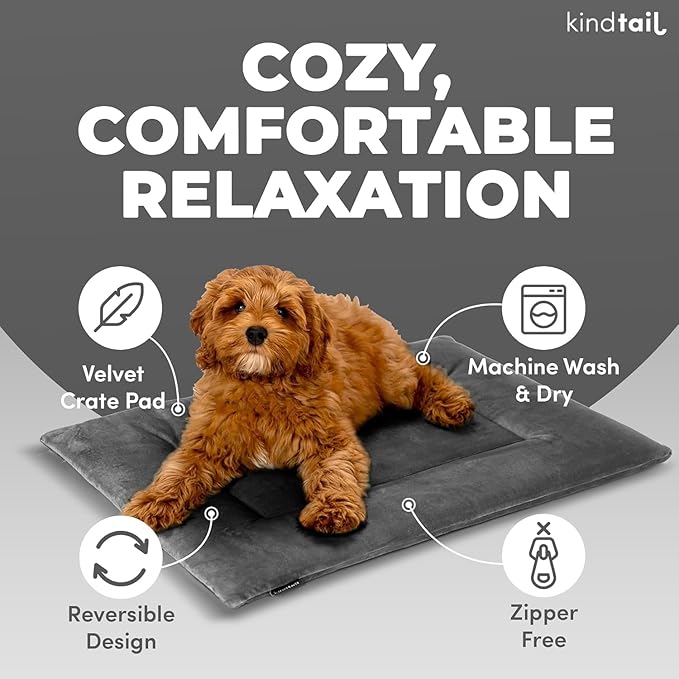 KindTail Dog Crate Pad - Soft Velvet, Reversible Bed - Machine Washable Kennel Mat for Pets up to 15 lbs, Mattress for Cozy Sleeping - 20” x 15” x 1” (Pink, Small)