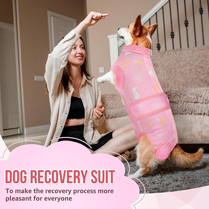 Lukovee Recovery Suit for Dogs, Zipper On Recovery Suit for Female Male Dog, Onesie Abdominal Wounds Cone E-Collar Alternative Prevent Licking Spay Recovery Suit (Medium, A-Pink)