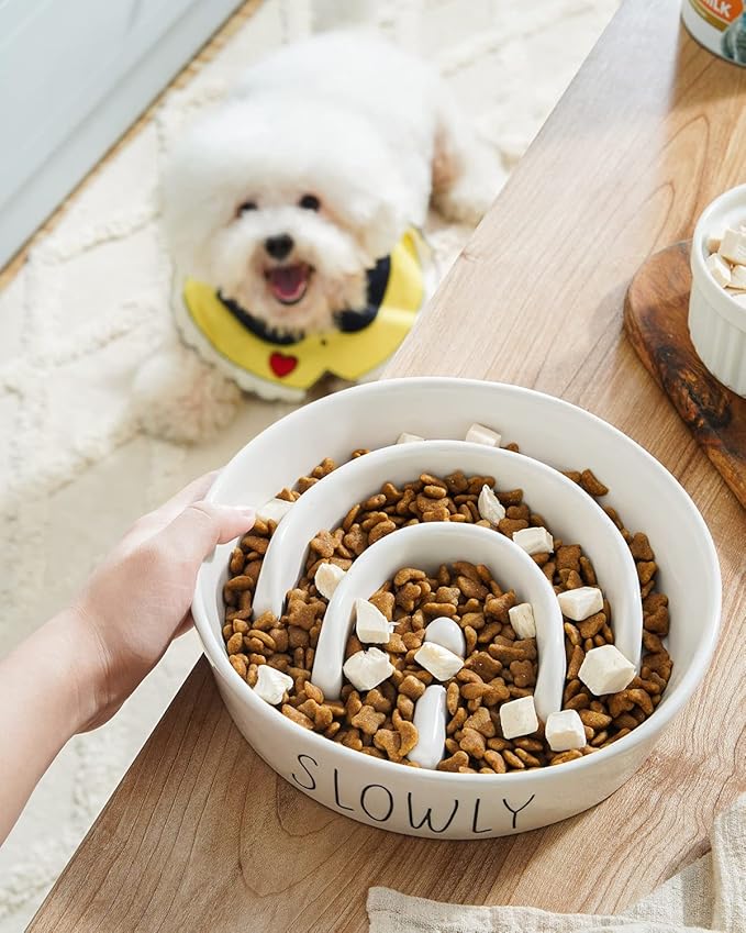 Slow Feeder Dog Bowl - 1.5 Cups Ceramic Puzzle Feeder for Small & Medium Breeds, Maze Design Bowl for Puppy & Fast Eaters, White Pet Dish to Control Eating Speed