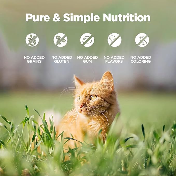 ZEAL New Zealand Wet Cat Food – High Protein, Grain-Free with Superfoods (Beef, 3.17oz Can, 24-Pack)