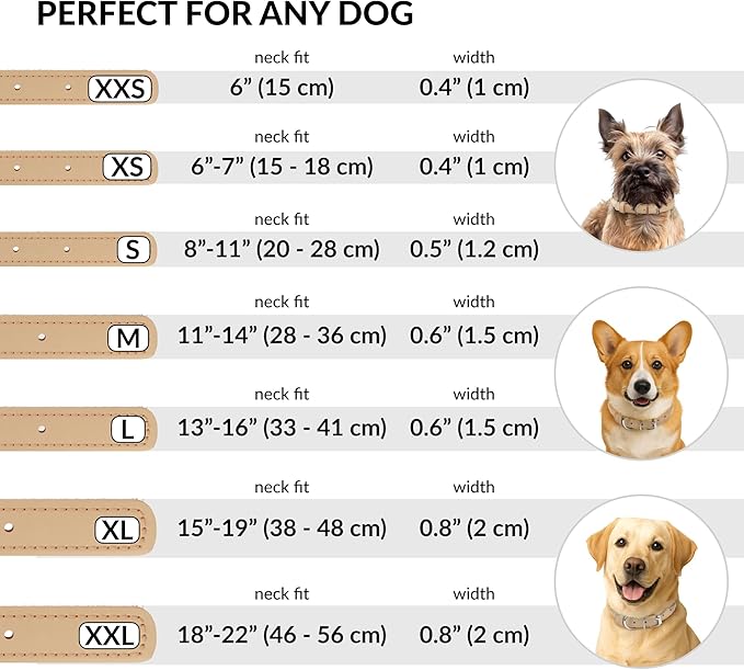 CollarDirect Rolled Leather Dog Collar, Soft Padded Round Puppy Collar, Handmade Genuine Leather Collar Dog Small Large Cat Collars 13 Colors (6 Inch, Beige Smooth)