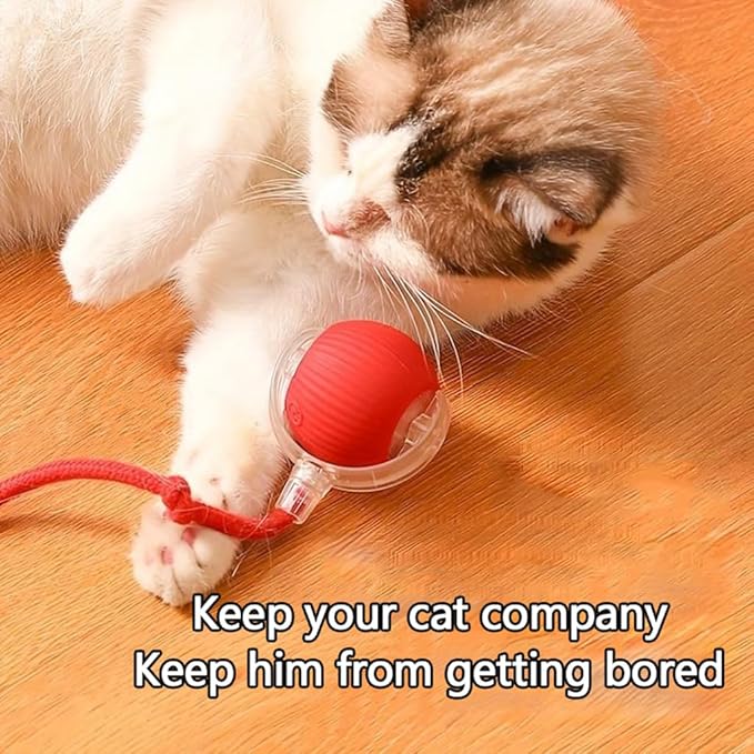 Interactive Cat Toys Ball for Indoor Cats, Auto Moving Cat Toys Interactive Motorized Electric Rolling Ball with Motion Sensor, Indoor Cats to Reduce Boredom (Red)