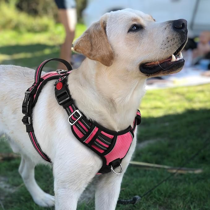rabbitgoo Dog Harness for Large Dogs, No Pull Pet Vest with 3 Buckles, Adjustable Soft Padded Pet Harness with Easy Control Handle and Reflective Strips, Pink, L