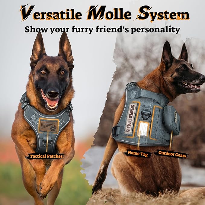 rabbitgoo Dog Harness for Large Dogs No Pull, Tactical Service Pet Vest with Molle and Control Handle, Adjustable and Reflective Military Harness for Easy Walking and Training, Grey, XL