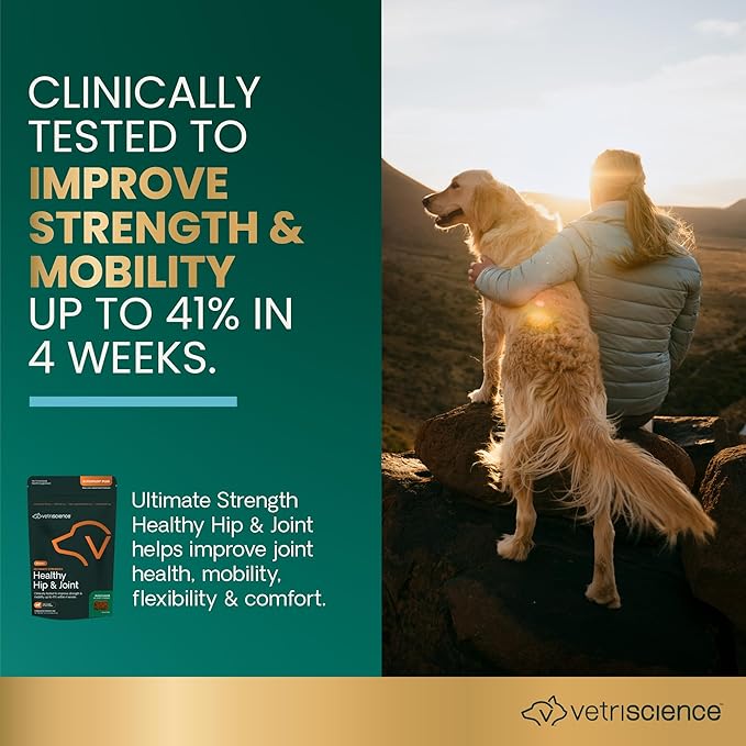 VetriScience Ultimate Strength Healthy Hip & Joint Chews, GlycoFlex Glucosamine, Chondroitin and Green-Lipped Mussel Joint Support Supplement for Dogs, Soothe Joint Discomfort, Duck, 60 Count