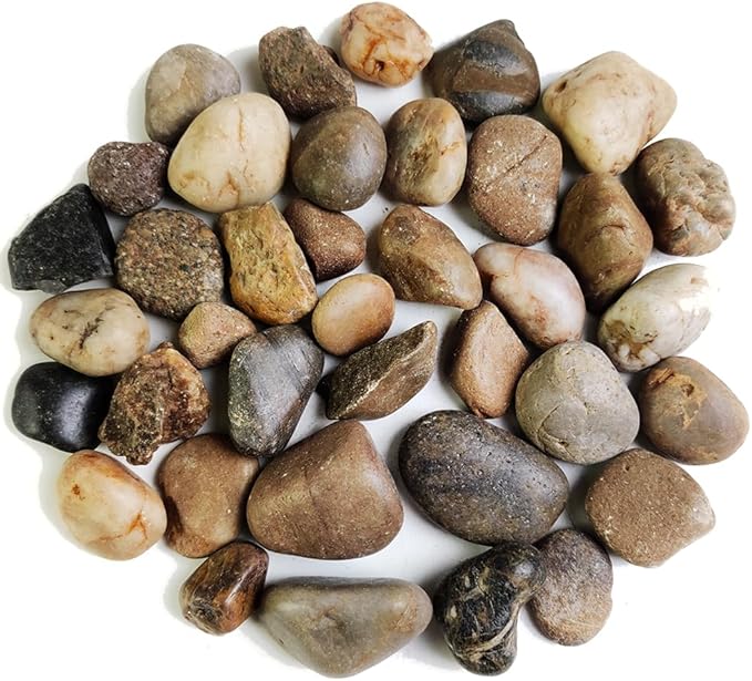 HappyFiller Decorative Natural Pebbles Polished Rocks Stones Mixed Color for Aquarium Gravel,Fish Turtle Tank,Outdoor Indoor Plants Top Dressing,Garden Landscaping,Home Vase Filler Decoration,2 LB