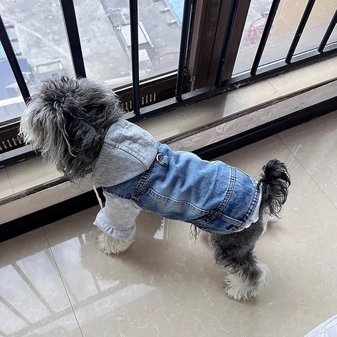 Puppy Harness Jacket for Small Dogs - Breathable Soft Dog Clothes with D-Ring for Leash, Lightweight Comfort Vest for Small Breed Puppies, Cats