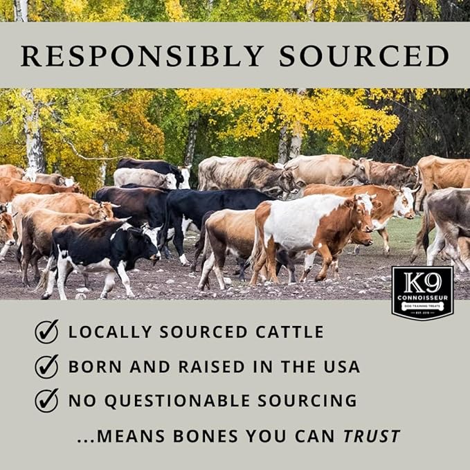 K9 Connoisseur Single Ingredient Dog Bones Made in USA for Small Breed Dogs All Natural Meaty Beef Chew Treat Bone Best for Puppies Up to 15 Pounds (1 Pk of 5 Ribblets)
