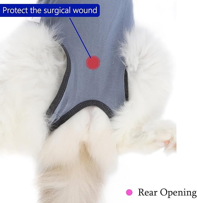 Cat Surgery Recovery Suit Cat Onesie for Cats After Surgery Spay Surgical Abdominal Wound Skin Diseases E-Collar Alternative Wear (Grey-Blue-S)