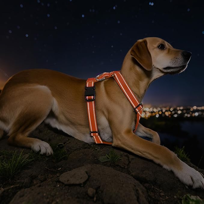 Dog Seat Belt Harness for Car, Dog Car Harness Adjustable Mesh Breathable & Dogs Seatbelt Safety Tether with Elastic Bungee for Small Medium Large Pets(Orange, L)