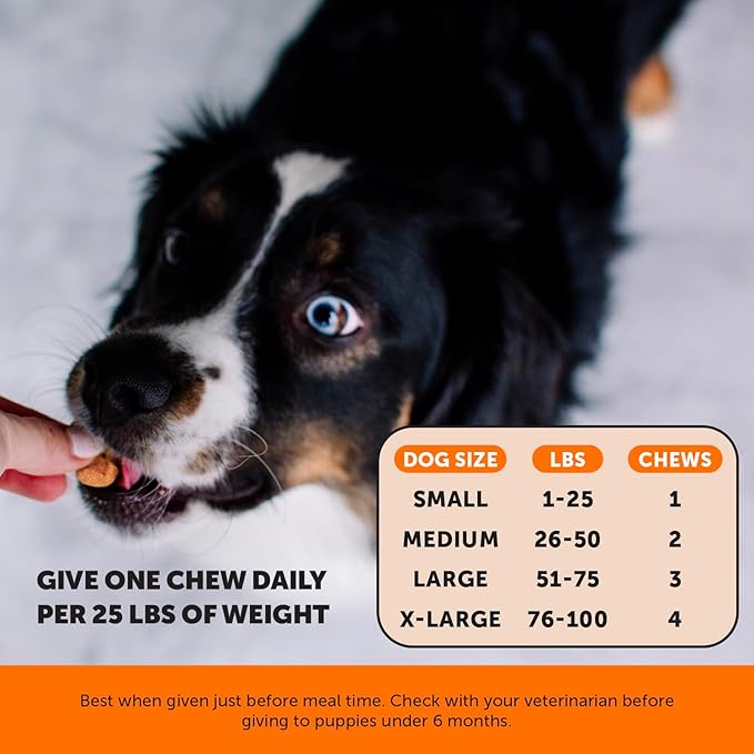 Hip & Joint Turmeric Health - Joint Supplement for Dogs, Omega-3 Fish Oil, Turmeric to Support Overall Health & Ease Stiffness - Advanced Pet Mobility Support - 90 Ct (Pumpkin)