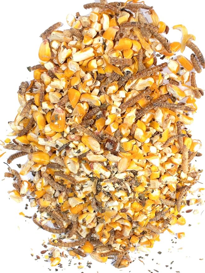 Pampered Chicken Mama Non-GMO Mealworm, Corn, Flax, & Herb Treat for Backyard Chickens, Healthy Layer Feed & Supplies for Pet Chickens Poultry Queen Treat for Hens (20 pounds)