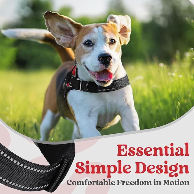 rabbitgoo Dog Harness for Small, Easy On Pet Vest with One Buckle, No Pull Adjustable Service Harness with D-Ring & Handle, Reflective for Safety Walking, Training, Red, S