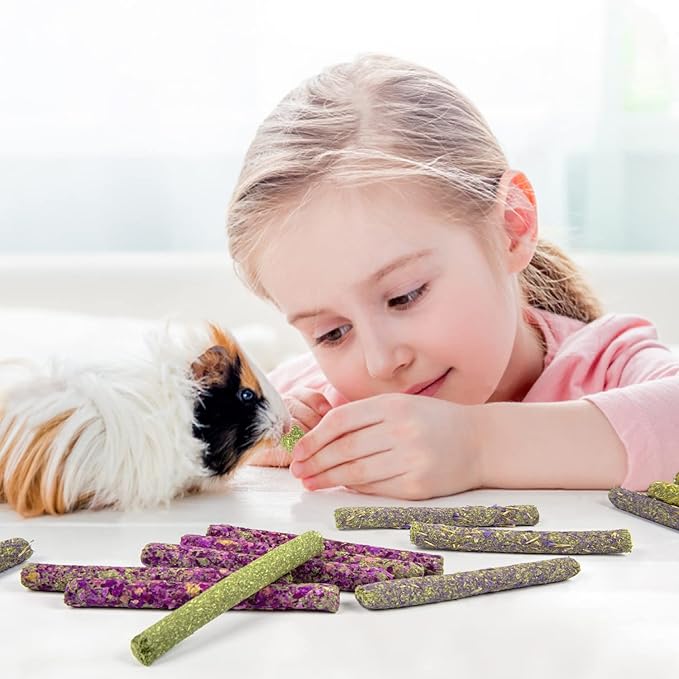 Sofier 32Pcs Timothy Hay Sticks 320g for Rabbit, Guinea Pig, Hamster - Natural Handmade Treats and Chews for Teeth - Chinchilla, Rat, Gerbil Toys