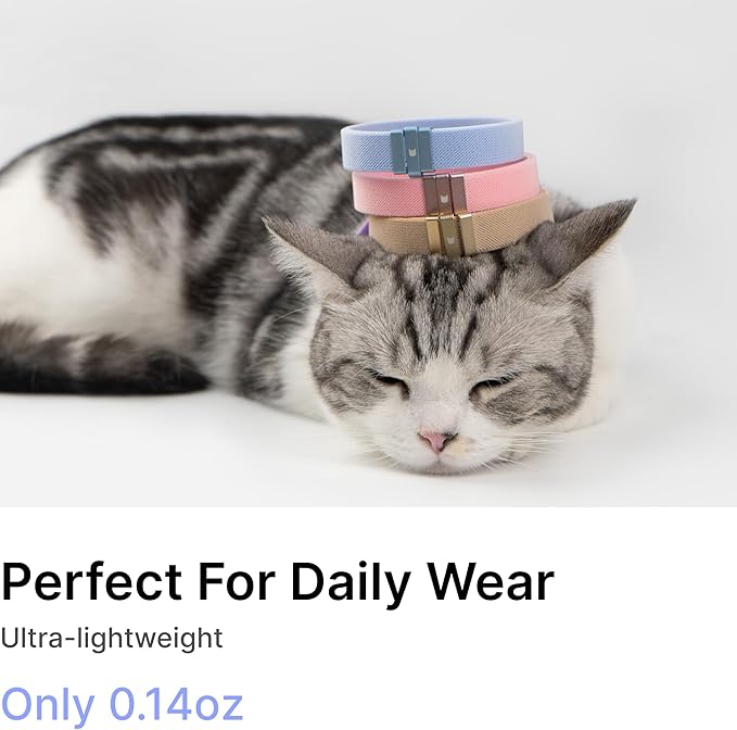 Safety Cat Collar - U.S. IDA Gold Award Design, Stretchy Elastic Quick Release Non Breakaway Cat Collar Light Weight for Kitten All Small Medium Large Cats (Burgundy, M (7.8-15.7 inch))