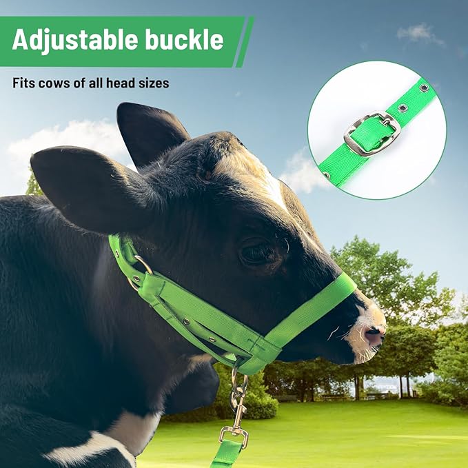 XUANNIAO Easily Adjustable Figure 8 Cow Halter, Double-Ply Premium Livestock Cattle Halters, Colorful Cow Utility Calf Halter with Leading Rope for Miniature Horse Donkey Goat Foal (Medium, Green)