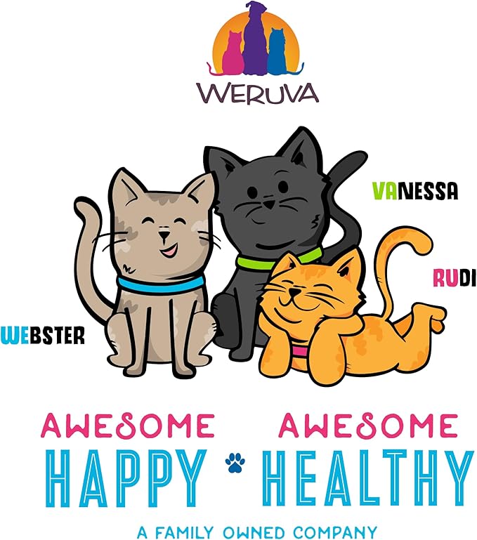 Weruva B.F.F. OMG - Best Feline Friend Oh My Gravy!, Chicken & Duck Dream Team with Chicken & Duck in Gravy, 2.8oz Can (Pack of 12)