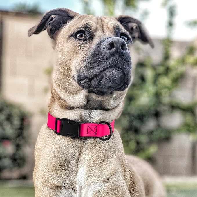 Dogline Biothane Waterproof Dog Collar with Quick Release Buckle Strong Coated Nylon Webbing with Odor- Proof for Easy Care Easy to Clean Fits Small Medium or Large Dogs, Pink 1" W 15-23" L