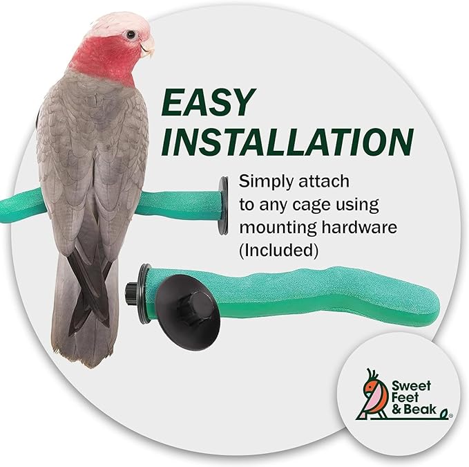 Safety Pumice Perch - Trims Nails and Beak - Promotes Healthy Feet - Safe Non-Toxic Bird Supplies for Bird Cages - Small 8"