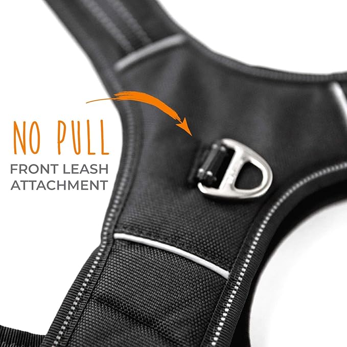 Mighty Paw Sport Harness 2.0 - Padded Canine Accessory - Adjustable Neck and Chest Straps - Enhanced Visibility with Reflective Stitching - Dog Padded Harness with Handle - Large - Black
