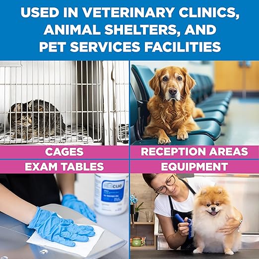REScue One-Step Disinfectant Cleaner & Deodorizer Wipes for Vet Use – Cleaner for Kennels, Litter Boxes, Vet Offices, Pet Grooming Surfaces – Extra Large Wipes, 160-Count Wipes Bucket (1 Pack)