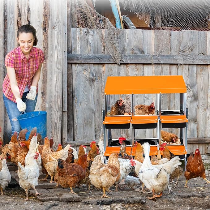 Chicken Nesting Box, 6 Hole 2 Layer Hen Nest Boxes with Legs, Roll Away Eggs Laying Boxes,Cleanable Pull Out Hen Roosting Boxes