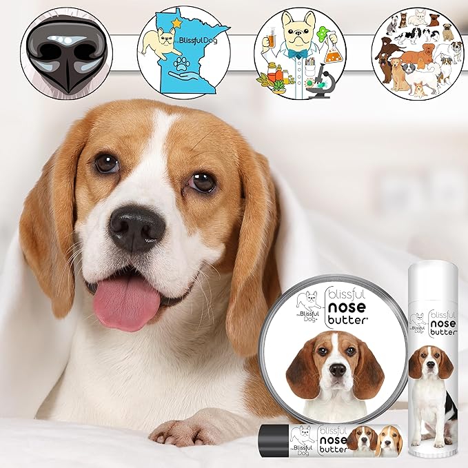 The Blissful Dog Beagle Nose Butter for Dry, Cracked Skin, Lick-Safe Dog Nose Balm with Moisturizing Shea Butter, Almond, Olive, and Essential Oils, Pet Supplies, Uncented, 1 oz.