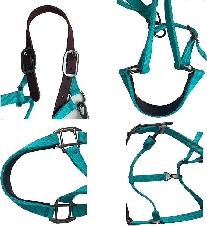 Majestic Ally Leather Halter with Matching Lead Rope for Horses – Leather Breakaway Crown - Adjustable Chin Strap – Rolled Throat Latch – Padded Noseband – Full (Hunter Green, Full)