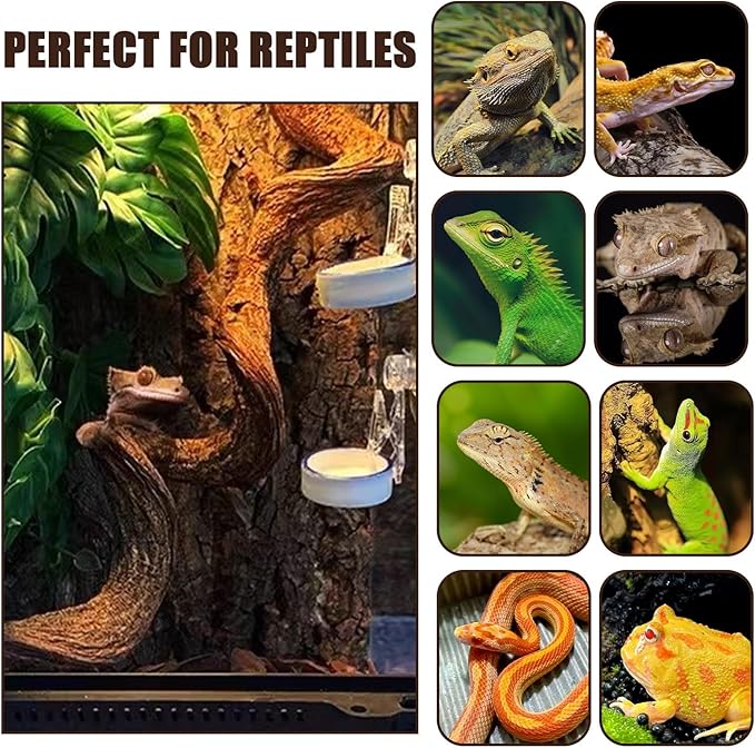 BNOSDM 3 Pcs Reptile Climbing Branches Decor,Snake Climbing Branch,Gecko Climb Wood,Lizard Forest Branch,Tank Habitat Tree Trunk Decorations for Bearded Dragons,Chameleons,Spider,Frogs (S)