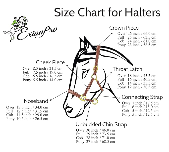 Exion Leather Horse Halter with Fancy Stitching | Black & Brown Padded Halter with Silver Brass Hardware | Quick-Release Snap | Adjustable Leather Halter – Cob, Full, Over, Pony Sizes