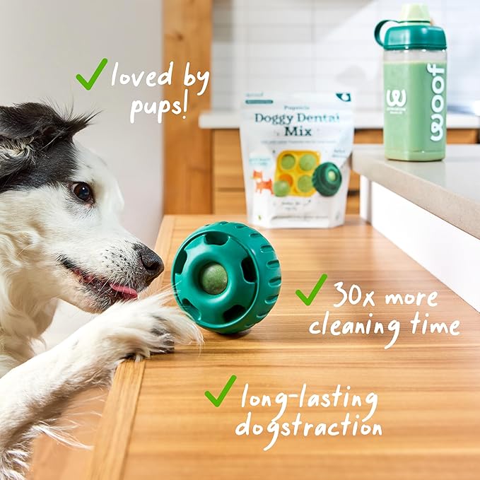 WOOF Dental Kit- Includes Pupsicle Dog Toy, Treat Tray, Shaker Bottle, Chicken Pupsicle Pops, and Dog Teeth Cleaning Powder - Supports Oral Health for Dogs - Large