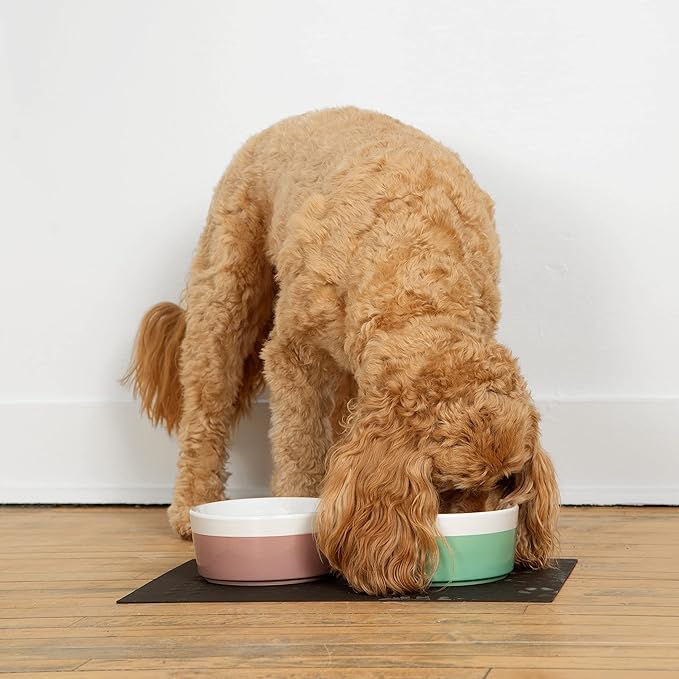 Waggo Dipper Ceramic Dog Bowl for Small and Large Breeds - Heavyweight and Durable Pet Food and Water Dish Crock, Dishwasher Safe, Modern (Small, Buttercream)