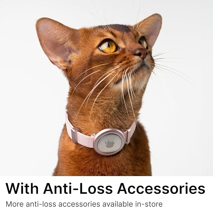 Safety Cat Collar Pro - U.S. IDA Gold Awarding Design, Elastic Quick Release Cat Collar with Buckle Non Breakaway - Lightweight for Kitten All Small Large Cats (Lime Green, S 5.9-11.8")