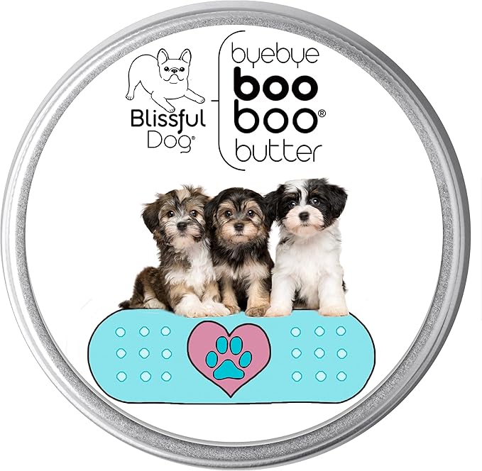 The Blissful Dog Havanese Boo Boo Butter, 4-Ounce