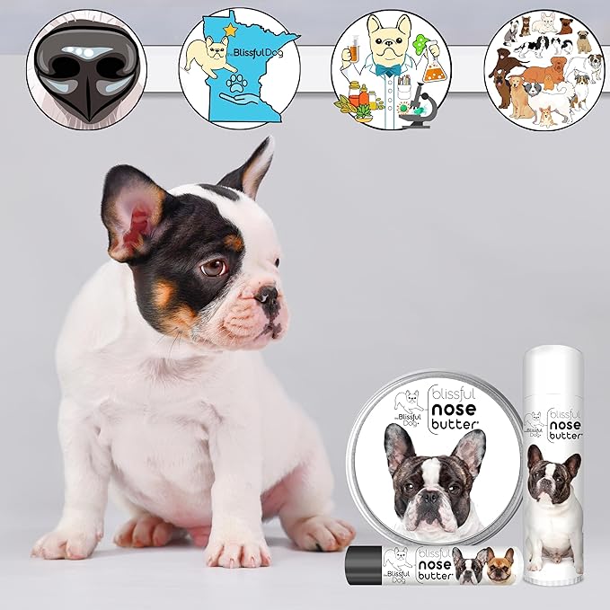 The Blissful Dog French Bulldog Pied Nose Butter for Dry, Cracked Skin, Lick-Safe Dog Nose Balm with Moisturizing Shea Butter, Almond, Olive, and Essential Oils, Pet Supplies, Uncented, 2 oz.