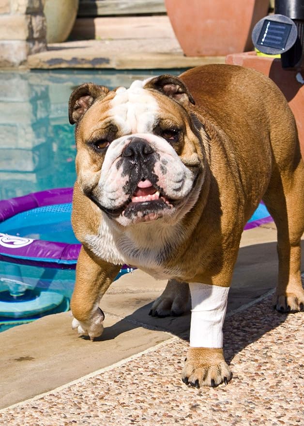 Protective Sleeve Tubular Cover - Bandages - for Dogs Cats and Other Pets First Aid Wound Care Comfortable Non-Adhesive Breathable & Water Resistant 18 Strips (yields 36-54 Covers)-(XX-Small)