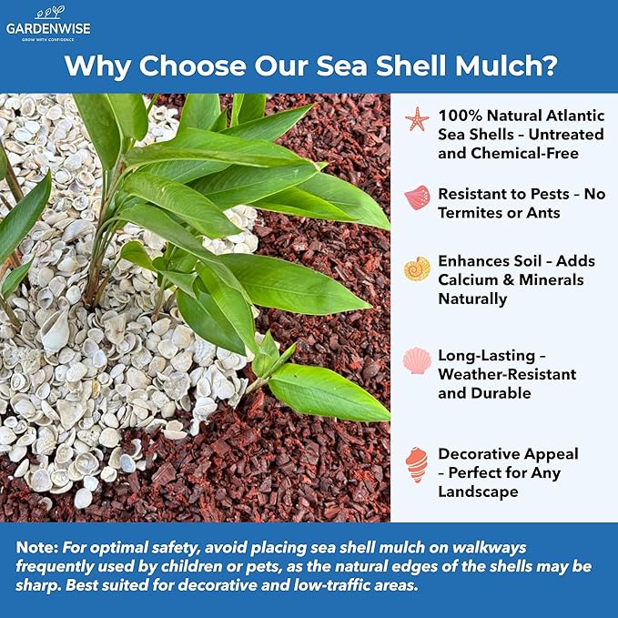Natural Organic Sea Shell Mulch for Gardens and Landscaping – Decorative and Nutrient-Rich, 0.5–3-Inch Shells, Perfect for Indoor and Outdoor Use (0.5 CF - 14 L - 15 QTS)