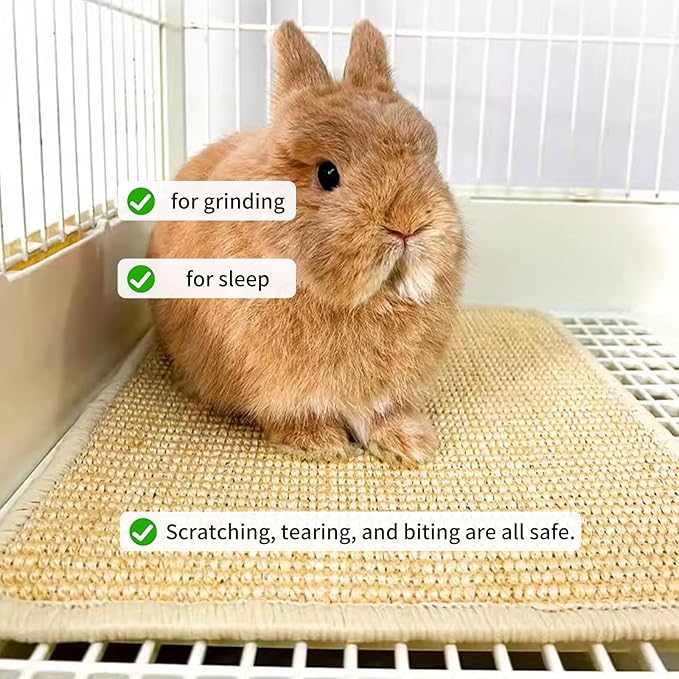 Oncpcare 6PCS Natural Bunny Scratch Mat - Rabbit Scratching Pad for Claws and Teeth Care - Chew Toys for Cages, Pet Bedding for Biting, Sleeping, Nesting, 16x12