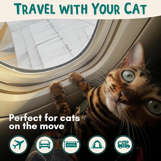 Travel Litter Box for Cats Small & Foldable - Non-Stick Portable Litter Box for Cat Traveling, No-Mess, Collapsible Litterbox (Essentials Traveling with Cats by Car, Plane, and Camping)