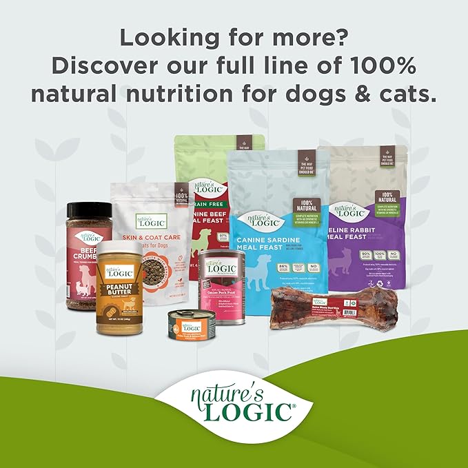 NATURE'S LOGIC Dry Dog Food - 100% Natural - No Synthetics - for All Ages, Sizes, Breeds - Free from Common Allergens, High Protein - Turkey Meal Feast, 13lbs